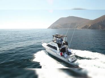 Fish Hunter Charters thumbnail