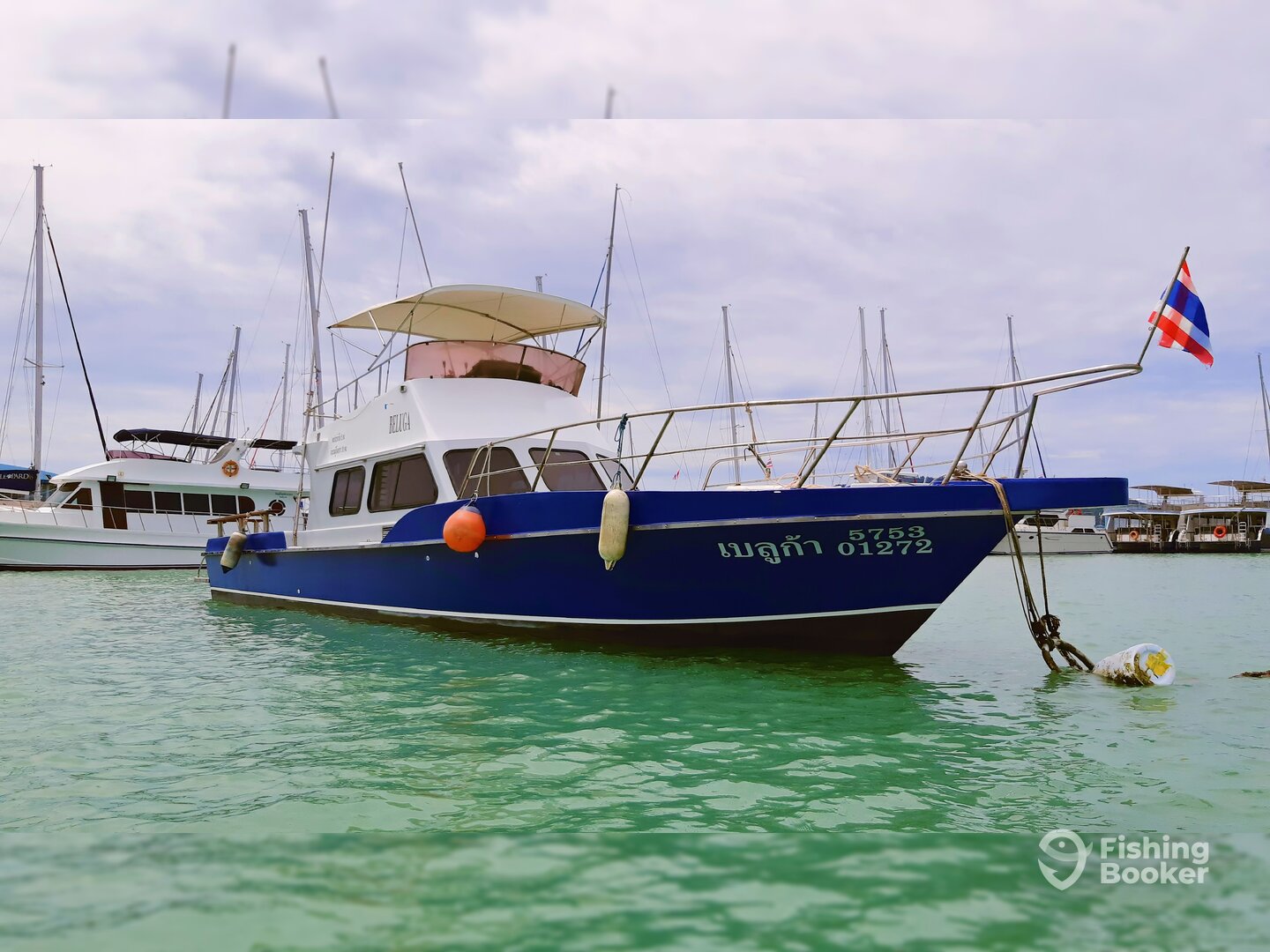 Beluga Fishing Tours - Updated 2026 Prices