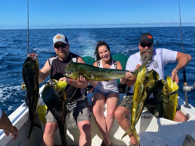 Listing image 854534