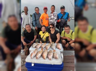 Accureal Allseas 1000