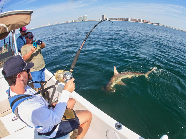 Listing image 1003526