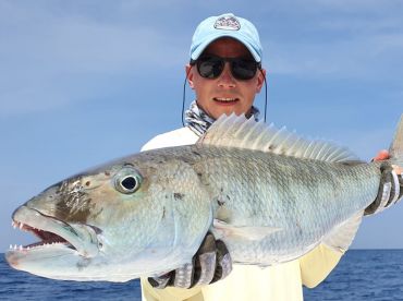 Captain Hook’s – Calipso