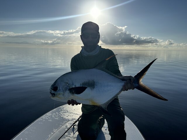 Listing image 988545