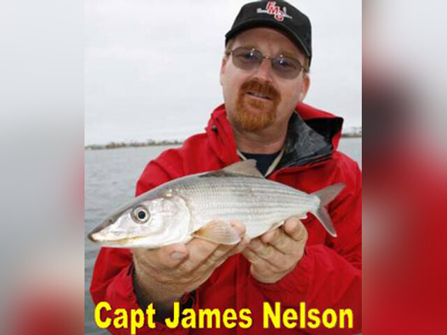 Listing image 1226761