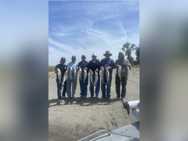 Listing image 810754