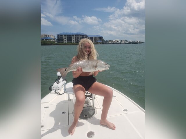 Listing image 684693