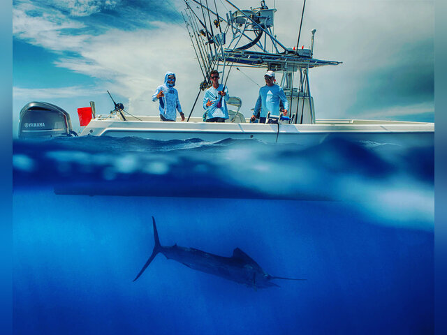 Listing image 687958