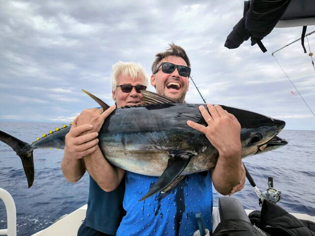 Listing image 1091363