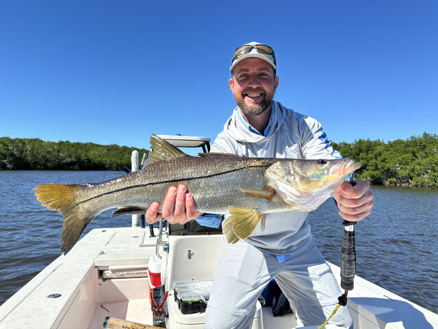 Listing image 983021