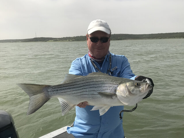 Listing image 341163