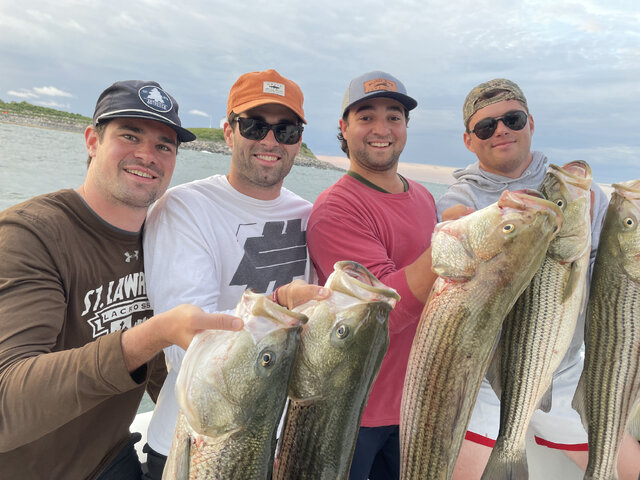 Listing image 891371