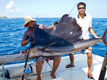 Alpha Royale – Dhebanveli Guesthouse thumbnail