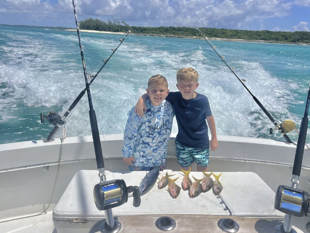 Listing image 1375723