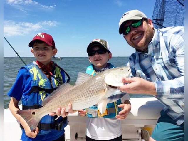 Listing image 407289