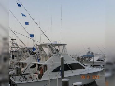 Reel Naughty Sportfishing thumbnail