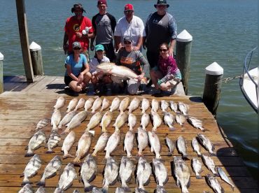 Ruffling Feathers Guide Service thumbnail