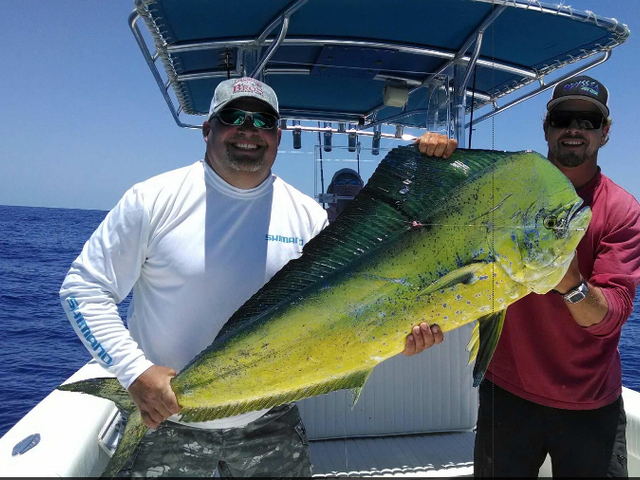 Listing image 100393