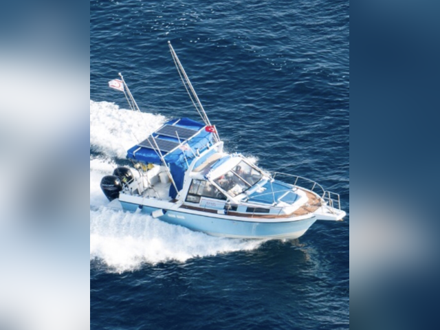 Listing image 510925