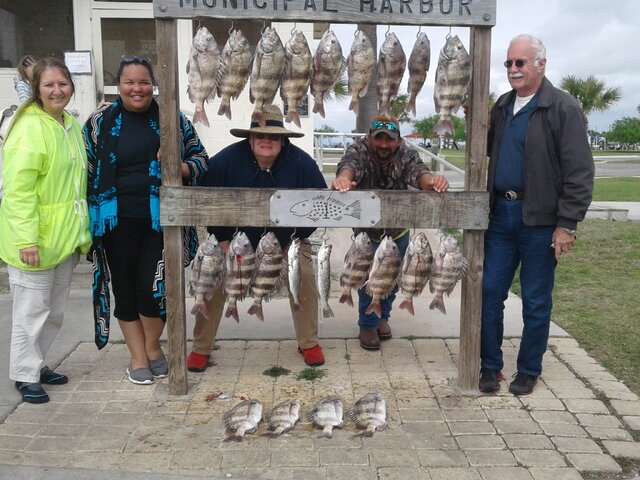 Listing image 107461