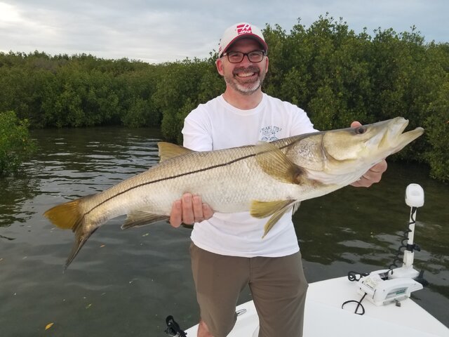 Listing image 275549