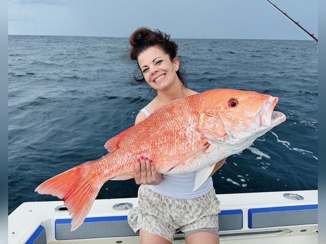 Listing image 1227726