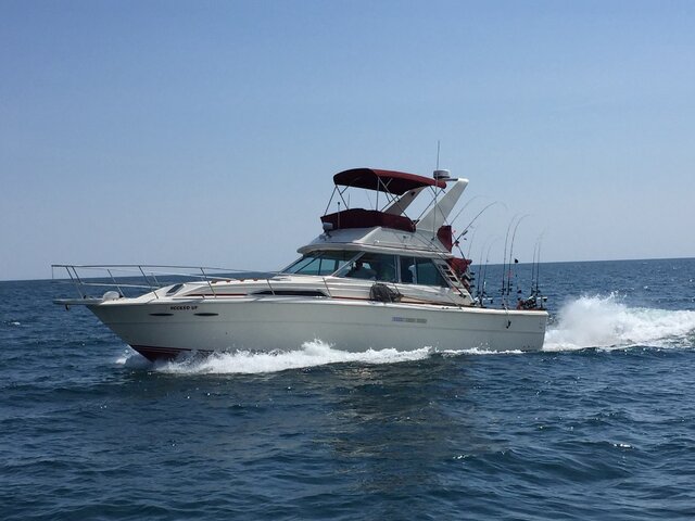 Listing image 104125