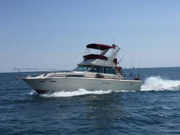 Charter Image