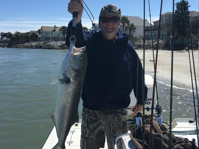 Listing image 125256