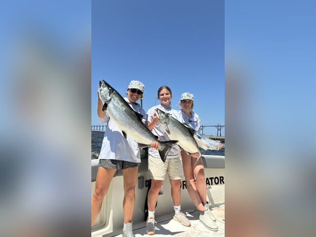 Listing image 1094120