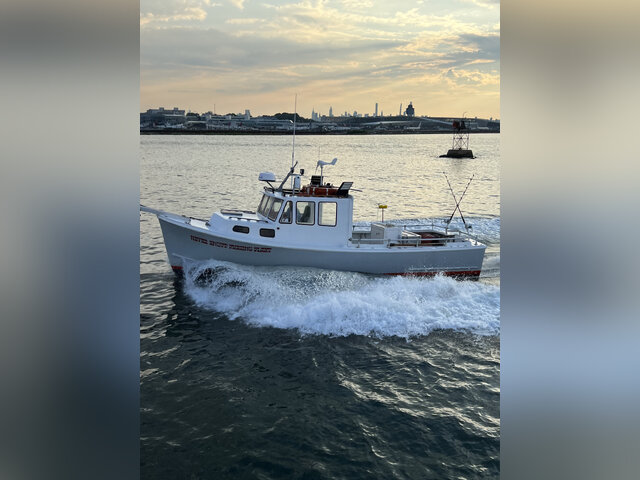 Listing image 1028625