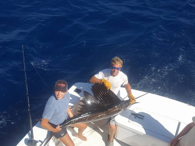 Listing image 110856