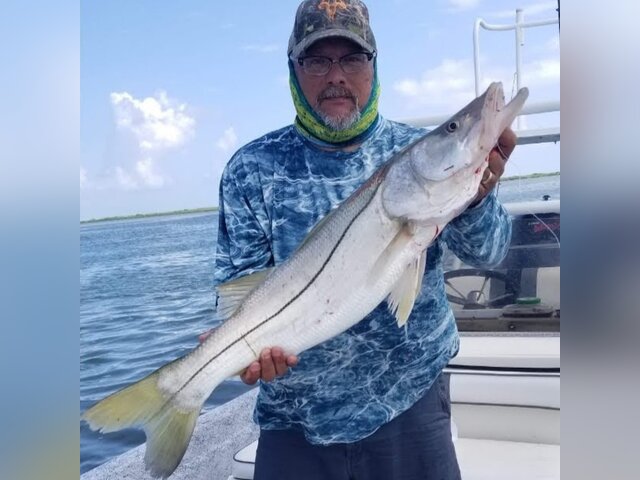 Listing image 1063855