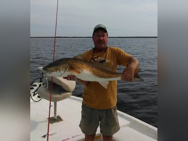 Listing image 109727