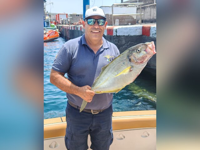 Listing image 1242292