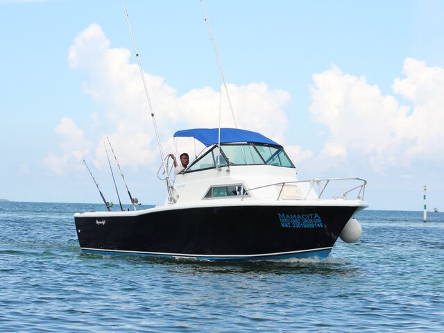 Listing image 175877