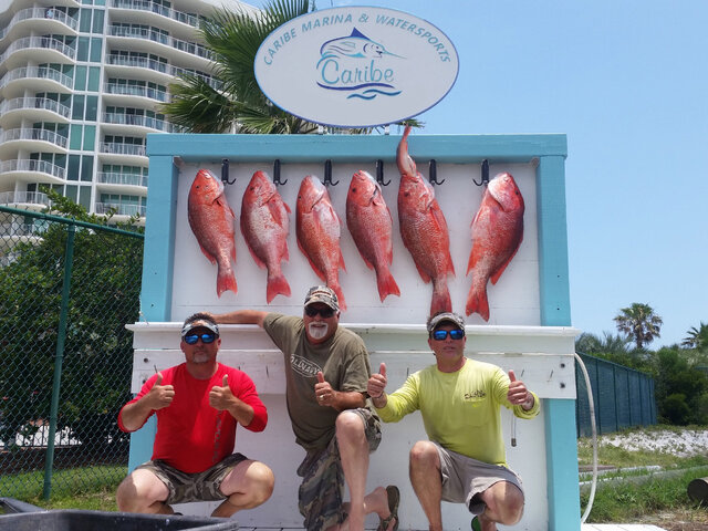 Listing image 117977