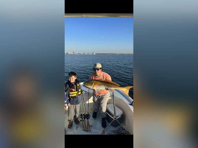 Listing image 943093