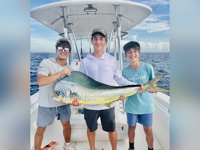 Listing image 1269140