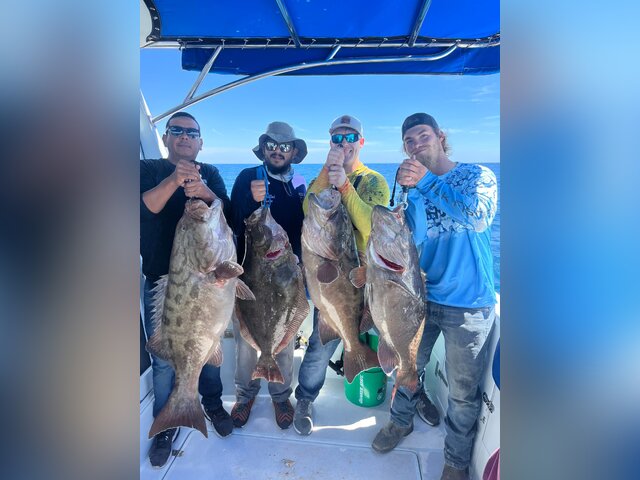 Listing image 848947