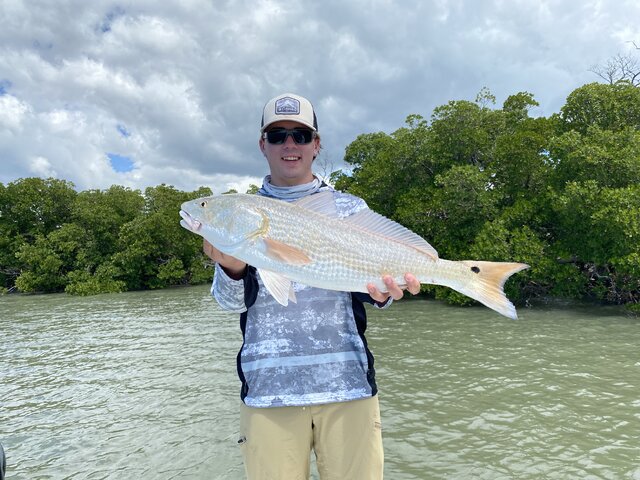 Listing image 561947