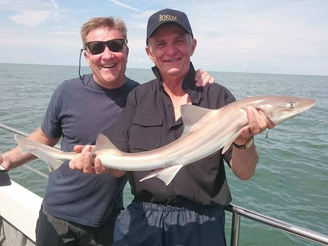 Listing image 124223