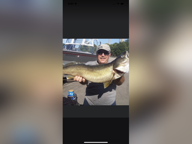 Listing image 952504