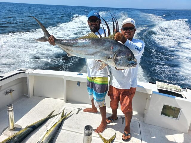 Listing image 810858