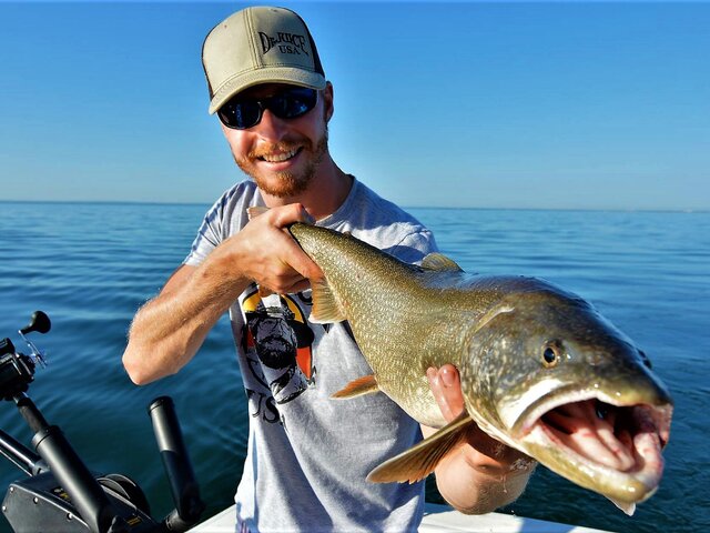 Listing image 124314