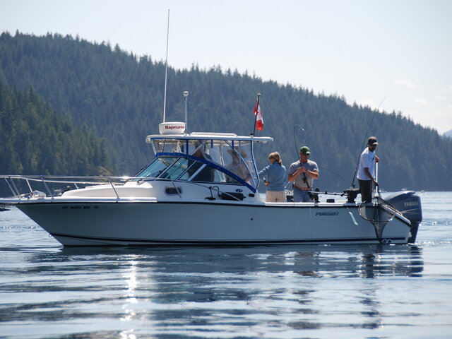 Listing image 125542