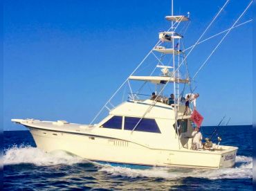 Marlin My Darlin Sportfishing thumbnail