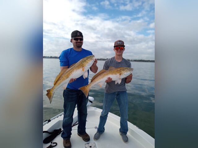 Listing image 950950