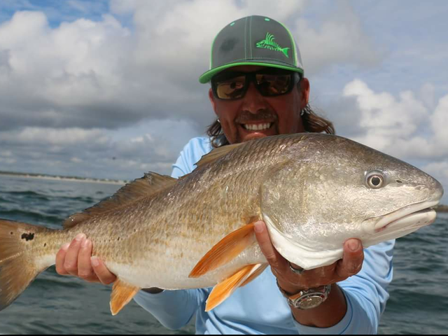 Listing image 132444