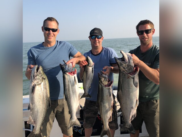 Listing image 1301104