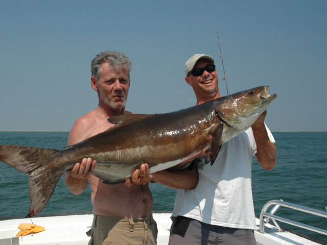 Listing image 141927